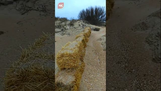 Анапа. Черное море. Краснодарский край. Мазут.