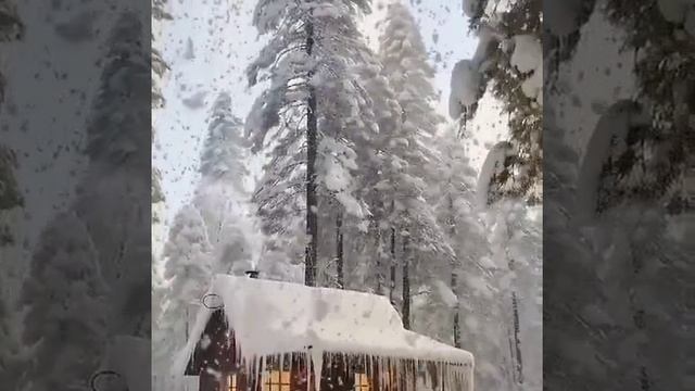 С новым годом!