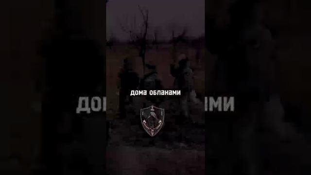 Наши воины