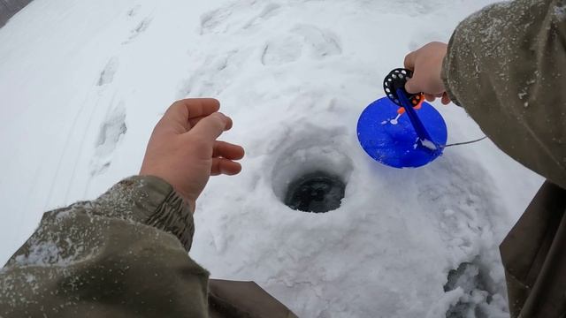 река чулым неперестаёт радовать хищьником