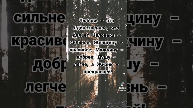 491cfde5614b4bf9dfddba77260e88ed.mp4
