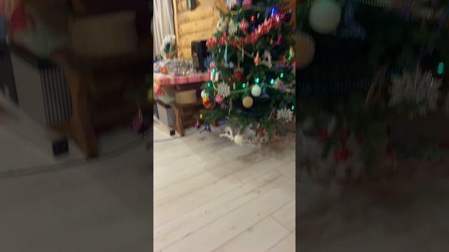 Наша ёлочка 🎄. Делитесь своими:)