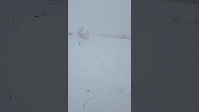 Красивый зимний пейзаж