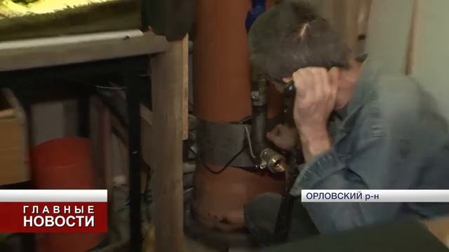 Коронавирус в России и аквариумные новости