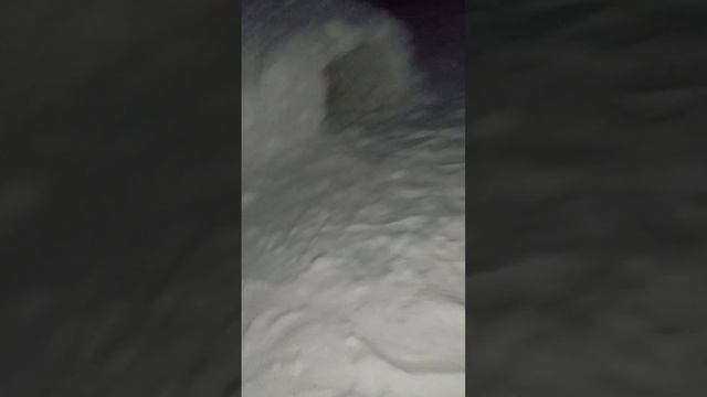 В 7 ЧАСОВ УТРА ЛИСЫ ОТАКУЮТ