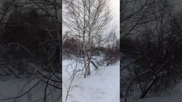 прогулка