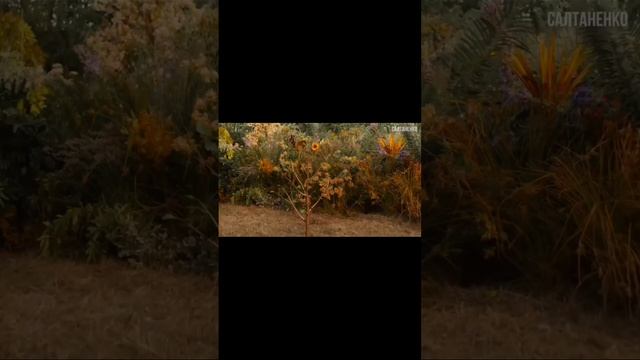 scene_output.mp4