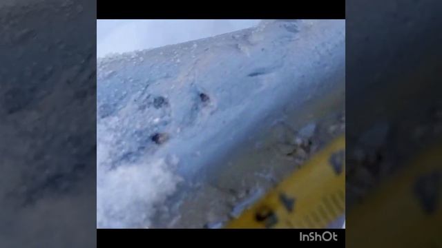 мотособака из того, что есть. Завершил возиться с волокушами С-5.mp4