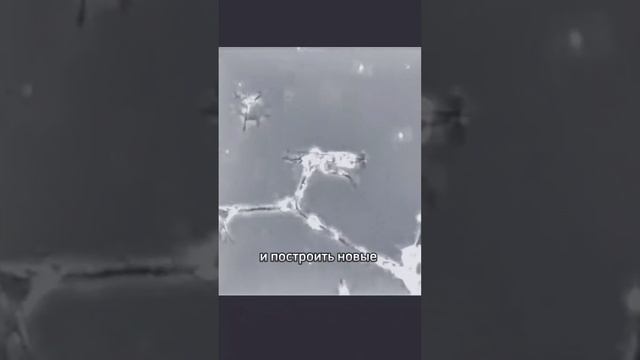 1004321063.mp4