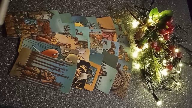 VID_20241229_080148.mp4