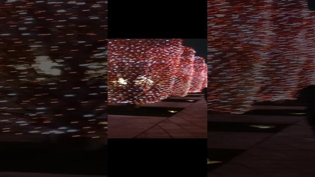 1000004088.mp4