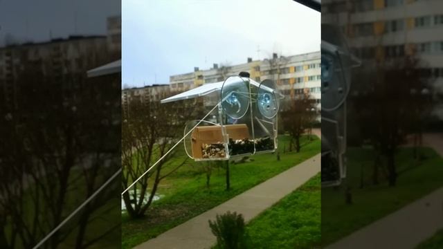 Кормушка для воробушков .