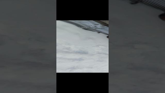 1000004958.mp4