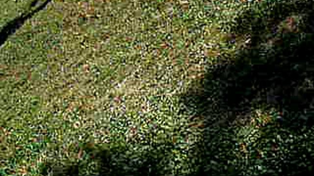 P8221052