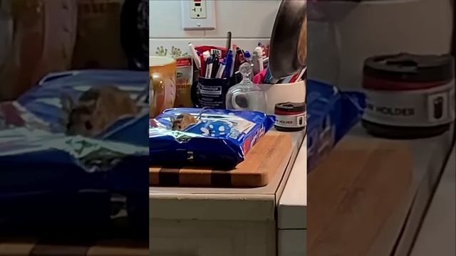 1000069783.mp4