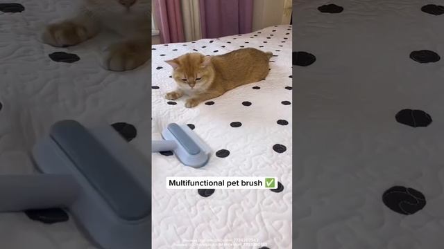 Щетка для удаления шерсти
