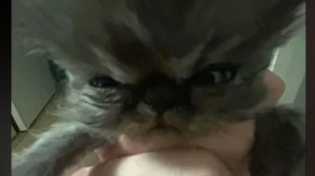 ♡