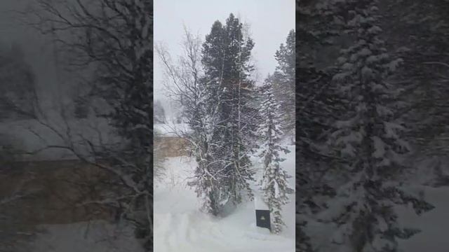 Волшебство