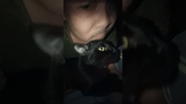 scene_output.mp4