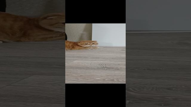 1000017617.mp4