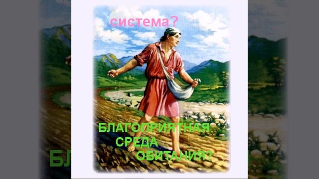 СИСТЕМА