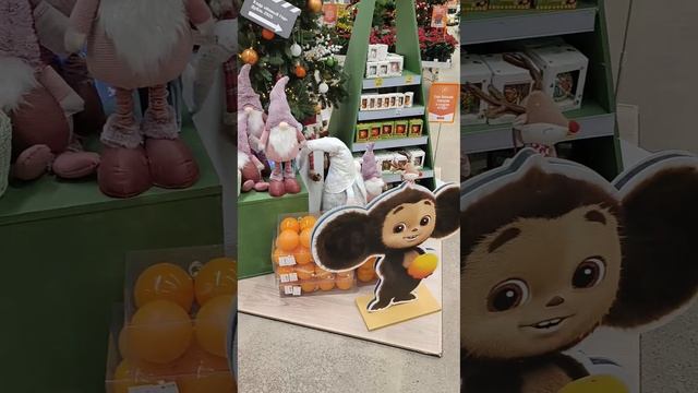 Чебурашка и апельсины в ОБИ