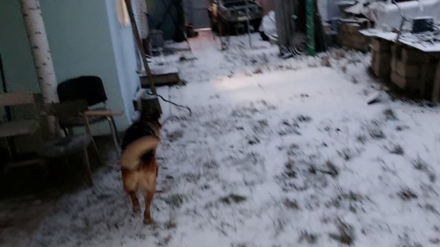 10 дней в Белгороде. Отдых, дела по хозяйству, обслуживание машины.