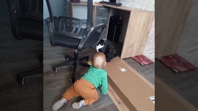 1000270173.mp4