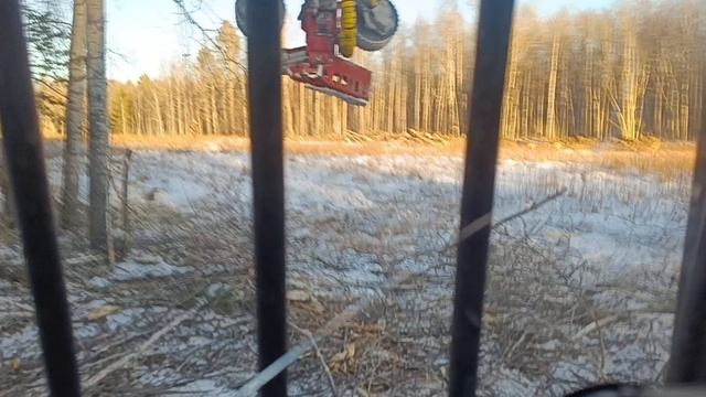 1000032769.mp4