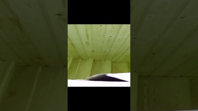 лестница из мебельного щита, лиственница.