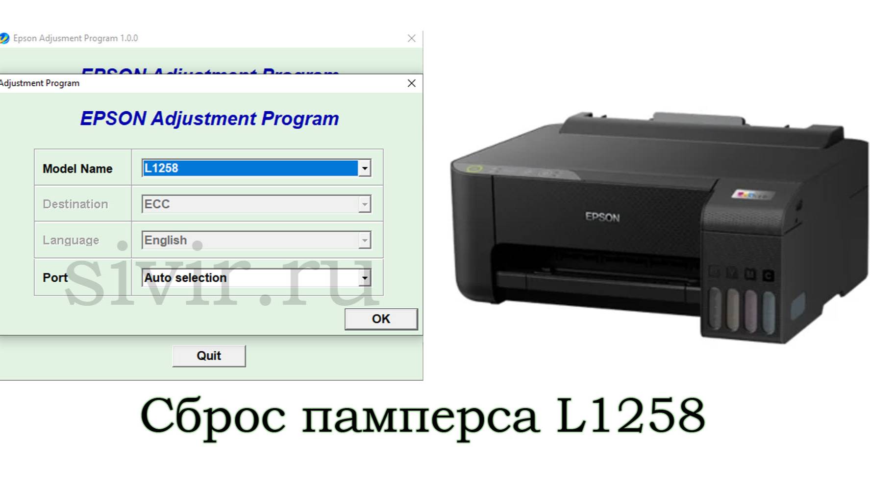 Сброс памперса Epson L1258 Adjustment Program