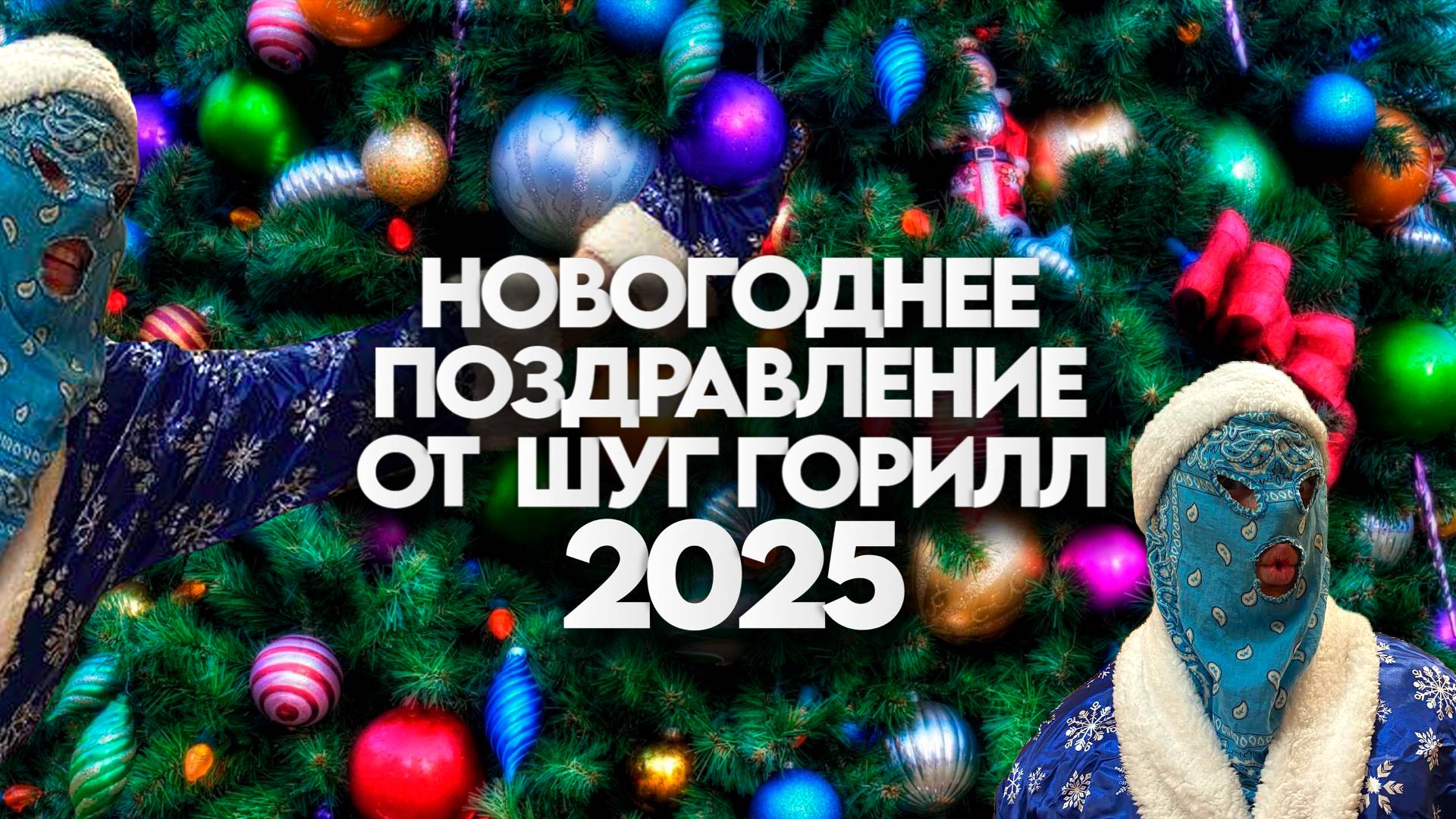 НОВОГОДНЕЕ ПОЗДРАВЛЕНИЕ ОТ ШУГ ГОРИЛЛ 2025
