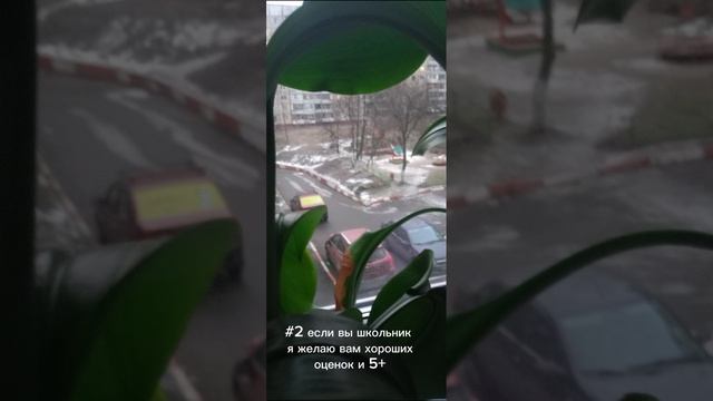 С новым годом и новым счастьем!