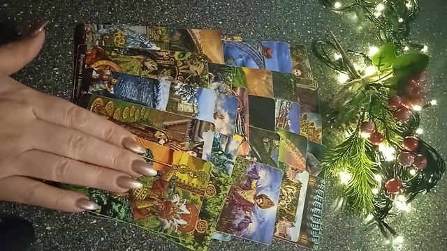 VID_20241230_182624.mp4