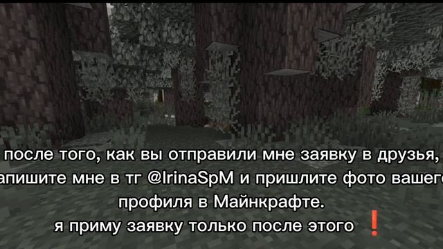 Первое видео🙂