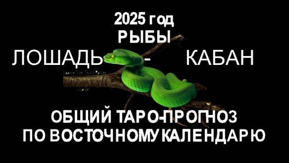 ОБЩИЙ ТАРО-ПРОГНОЗ НА 2025 ГОД ПО ВОСТОЧНОМУ КАЛЕНДАРЮ. РЫБЫ (ЛОШАДЬ-КАБАН)