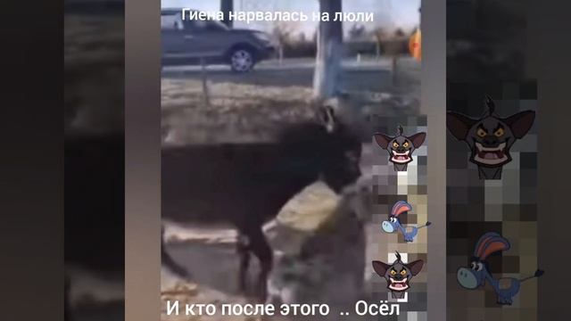 И КТО ПОСЛЕ ЭТОГО .. ОСЁЛ - ПОЛУЧИТЬ ПО ПОЛНОЙ