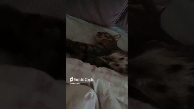 Мотивация для жизни #motivation