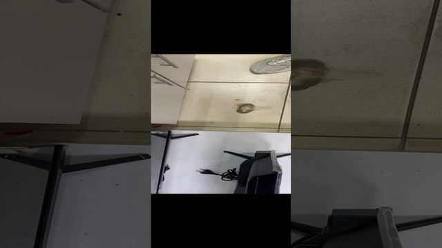 Makita пила электронные