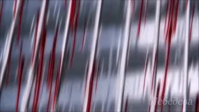 「ＡＭＶ」Тони Раут - Парадайз