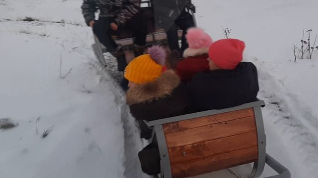 испытания конных саней