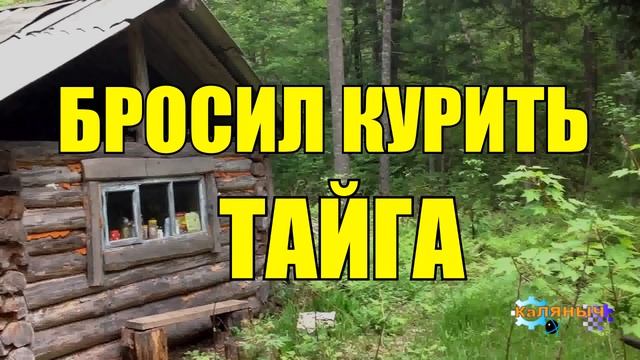 0976 - ОПАСНАЯ ВСТРЕЧА _ БРОСИЛ КУРИТЬ