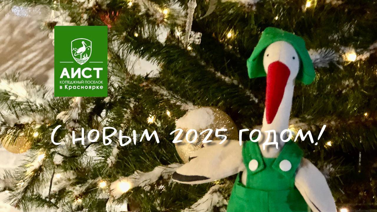 С Новым 2025 годом!