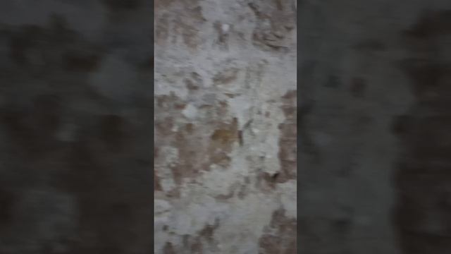 Моквский собор Успения Пресвятой Богородицы. Абхазия.