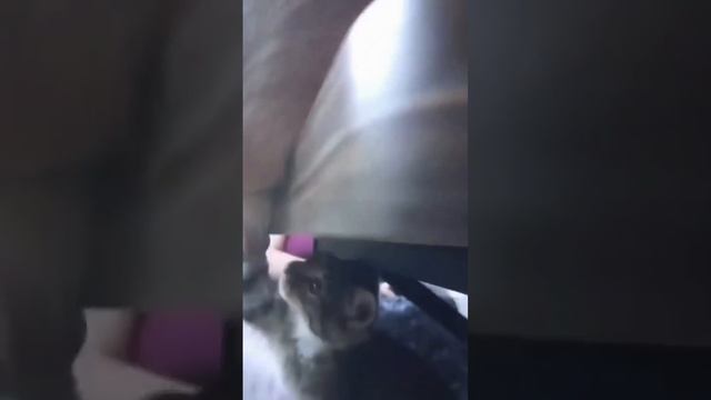 1000069786.mp4