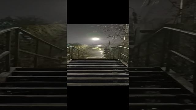 Тропами Курска