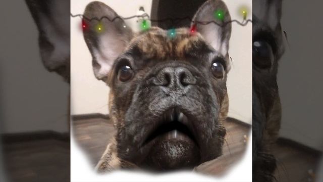 новый год к нам мчится🎄