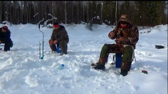 Видео с Ютюб. Снято 13.03.2019 год. Рыбалка на реке Канда ХМАО. Маленькая таежная речка полнаОкунем