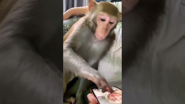 1000069818.mp4
