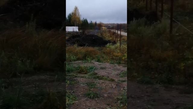 столбы